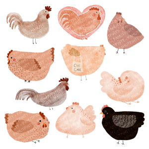 Tyúkos matricacsomag