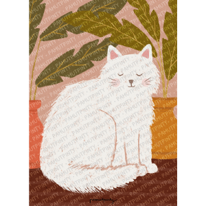 Fehér cica növénnyel