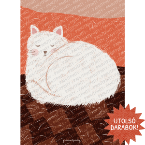 Fehér cica macskaszőrrel