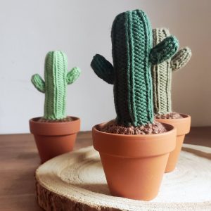 'Saguaro' puha kaktusz