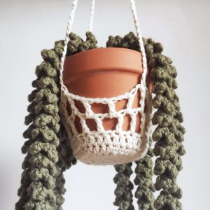 Akasztó a 'sedum' növényhez