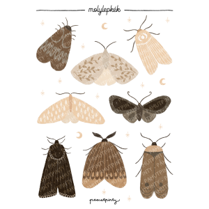 "Molylepkék" matricaív