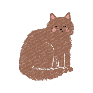 "Barna cicó" matrica