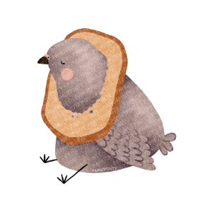 "Kenyeres galamb" matrica