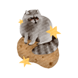 "Krumplis mosómedve" matrica