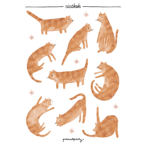 "Cicákok" matricaív